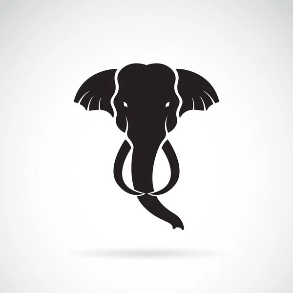 白い背景の上の象頭デザインのベクトル。野生のアニ — ストックベクタ