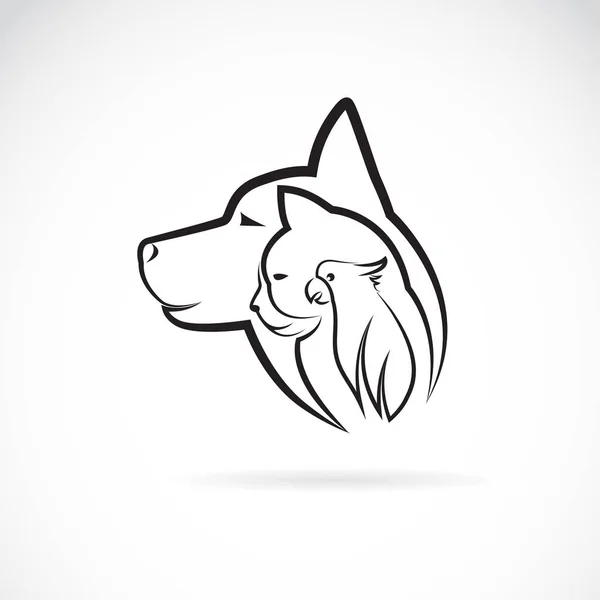 Vektor eines Hundes Katze und Vogel auf weißem Hintergrund. Logo Haustier. anim — Stockvektor