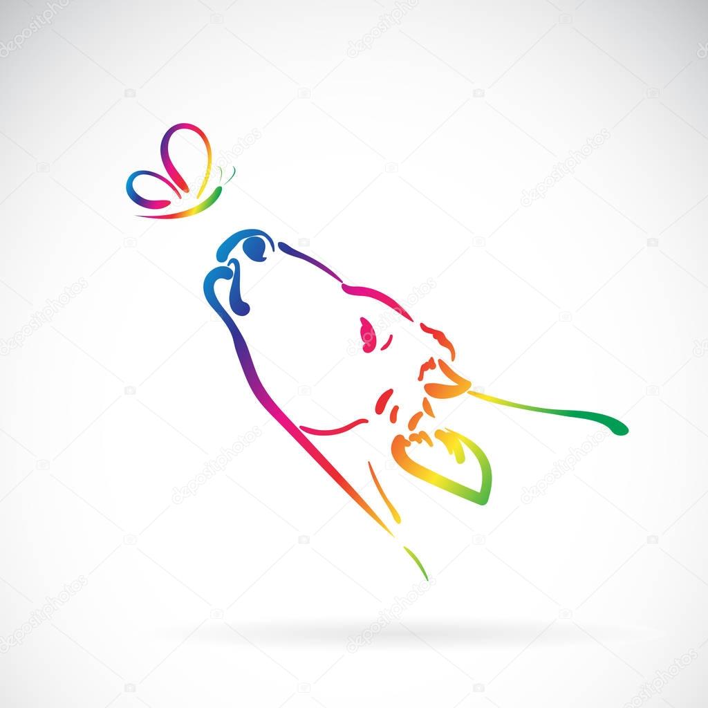 Vector of cow and butterfly on white background. Animal.