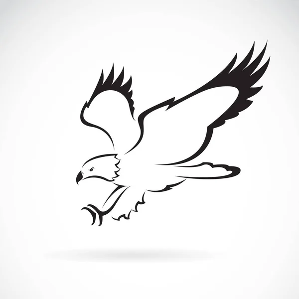 Vector de diseño de águila sobre fondo blanco, Animales salvajes. — Vector de stock