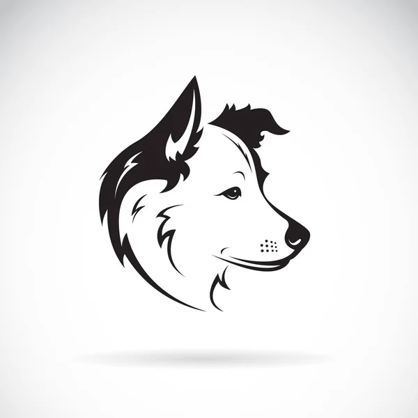 Vector de un perro de borde collie sobre fondo blanco. Mascota. Animales.. — Vector de stock