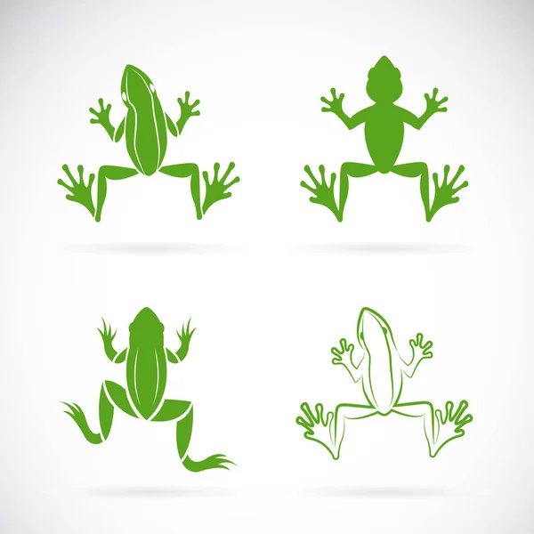 Beyaz arka plan üzerinde kurbağalar tasarım vektör grubu. Amfibi. — Stok Vektör