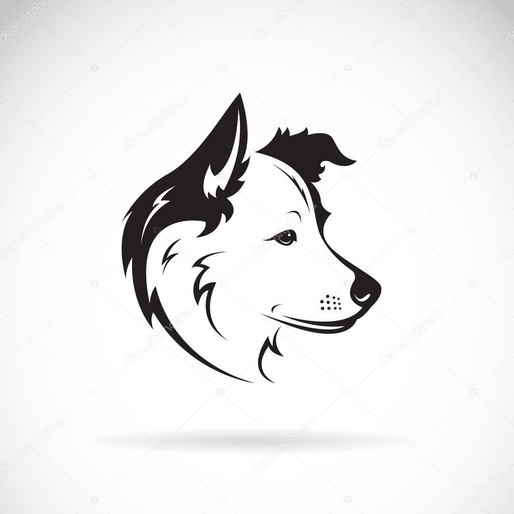 Vector of a border collie dog on white background. Pet. Animal.