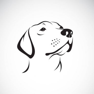 Beyaz arka planda, Pe dog Head'a (Labrador Retriever) vektör
