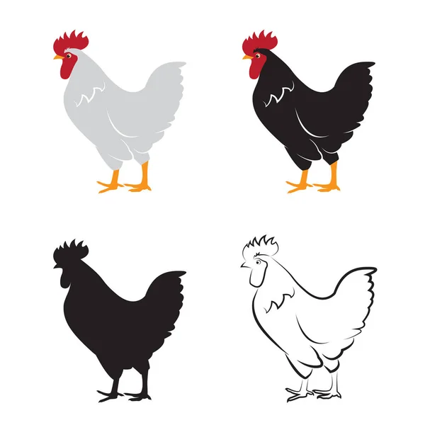 Vector de diseño de pollo sobre fondo blanco. Gallina. Animales de granja . — Vector de stock