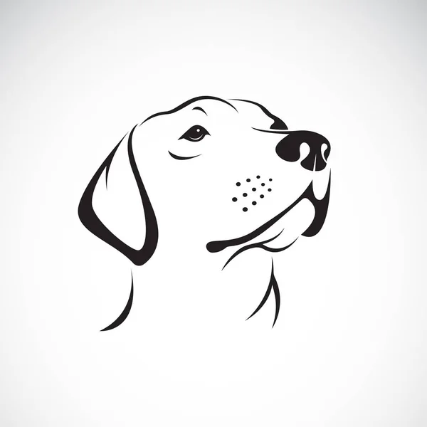 Vector de una cabeza de perro (Labrador Retriever) sobre fondo blanco, Pe — Archivo Imágenes Vectoriales