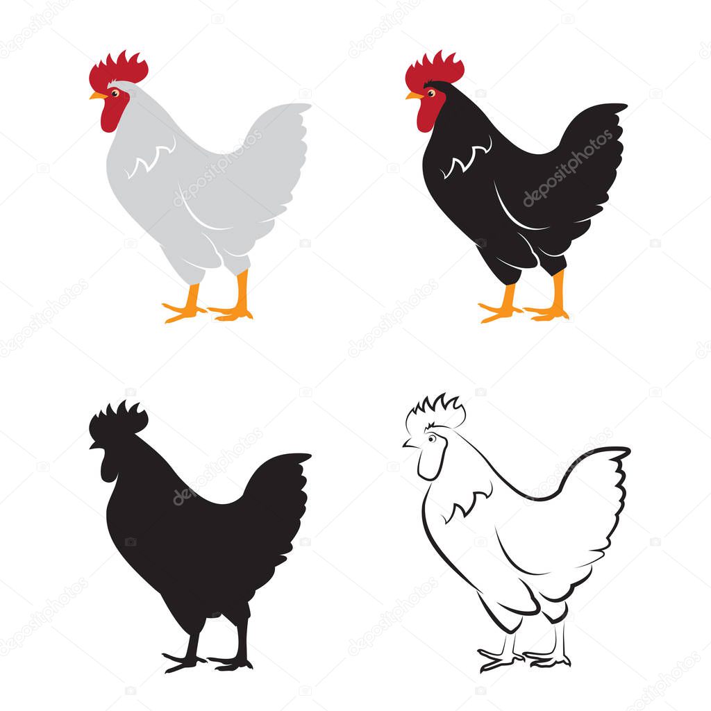 Vector of chicken design on white background. Hen. Farm Animals.