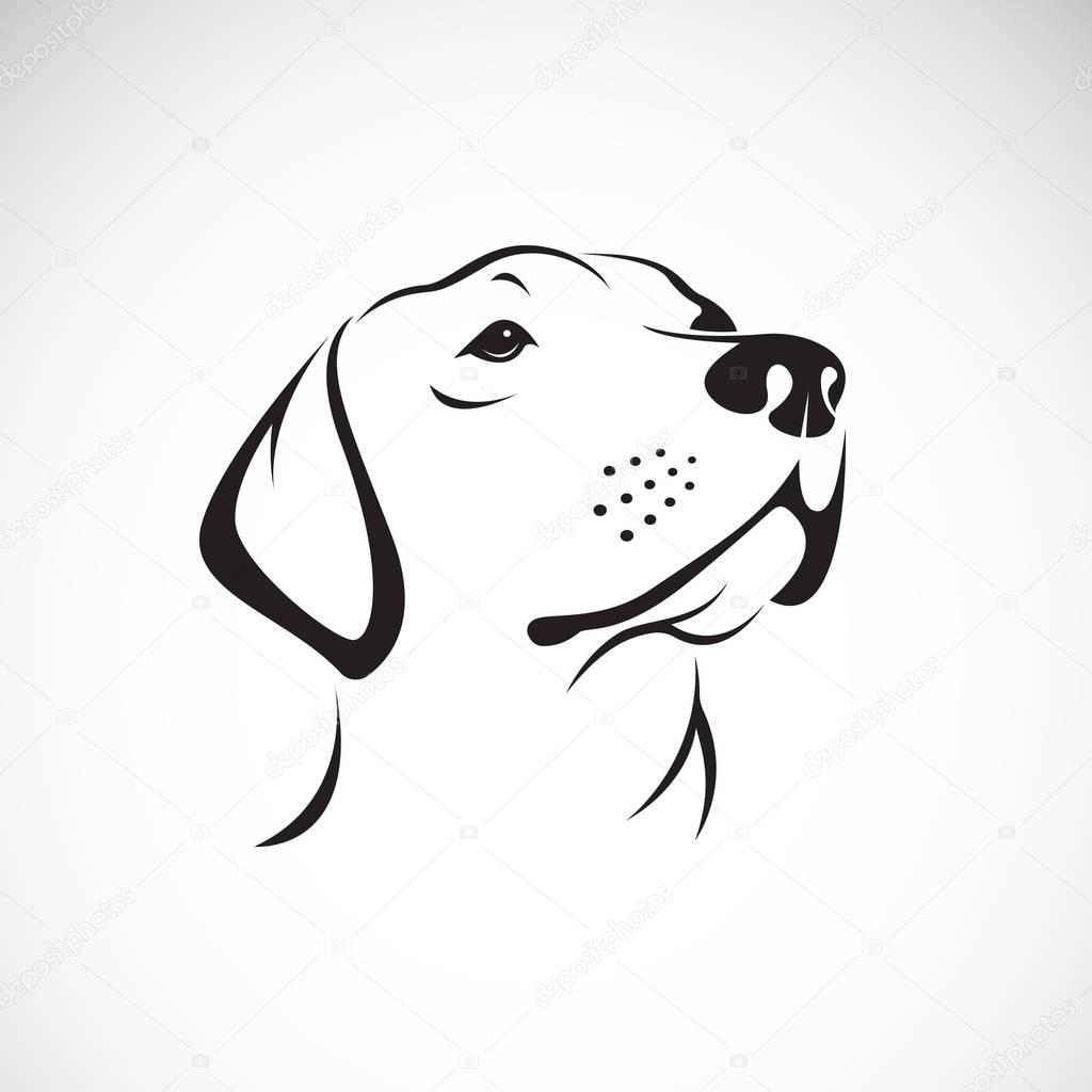 Vector of a dog head(Labrador Retriever) on white background, Pe