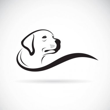 Vektör köpek baş tasarım (Labrador geri almak) 