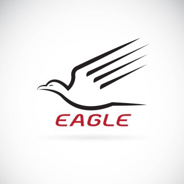 Beyaz arkaplandaki bir kartal tasarımının vektörü. Kuş. Hayvanlar.