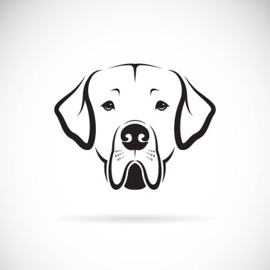Vektör Danua köpek baş beyaz arka plan üzerinde. Pet hayvanlar.