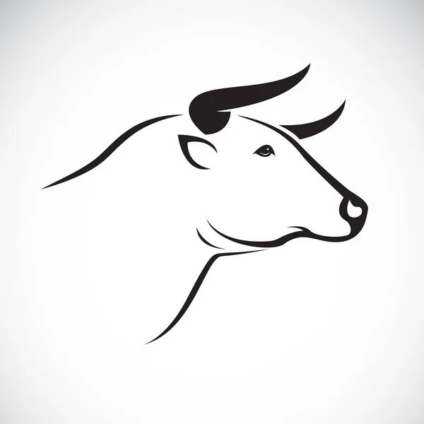 Vettore di disegno testa di toro su sfondo bianco, Animale. — Vettoriale Stock