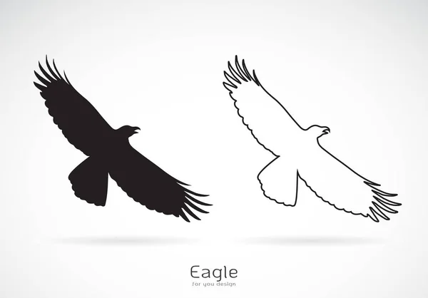 Vektor des Adlers breitet seine Flügel aus. auf weißem Hintergrund, — Stockvektor