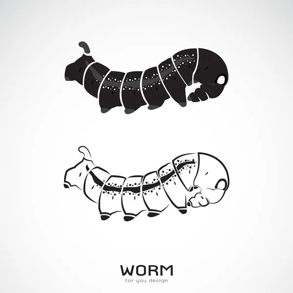 Vetor de duas lagartas sobre fundo branco. Icon Worm. Insetos — Vetor de Stock