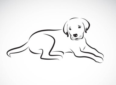Beyaz zemin üzerinde bir köpek labrador vektör. Pet hayvan. Kolay 