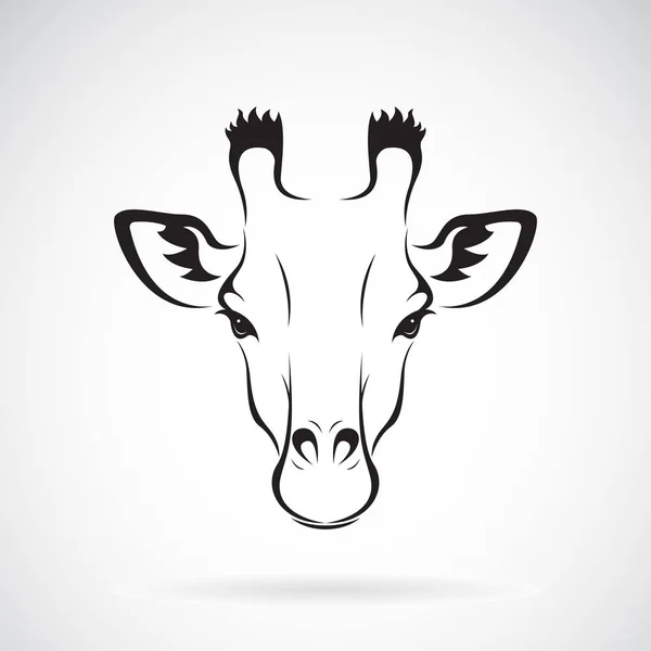 Vector de un diseño de cabeza de jirafa sobre fondo blanco. Animales salvajes — Vector de stock