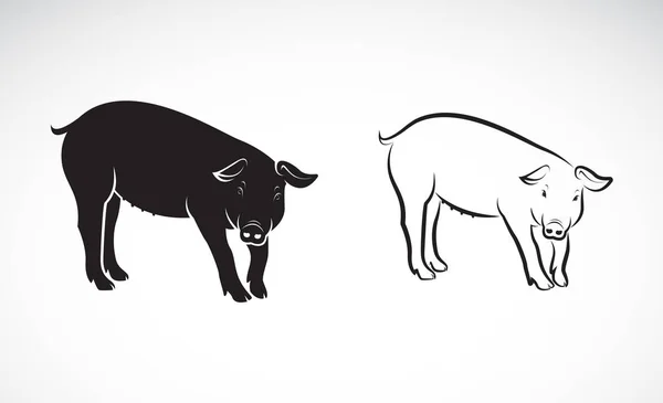 Vector van een varken op witte achtergrond. Landbouwhuisdieren. — Stockvector