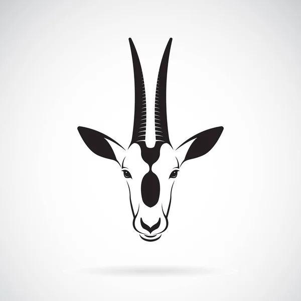 Wektor rogaty Scimitar Oryx główki na białym tle. — Wektor stockowy