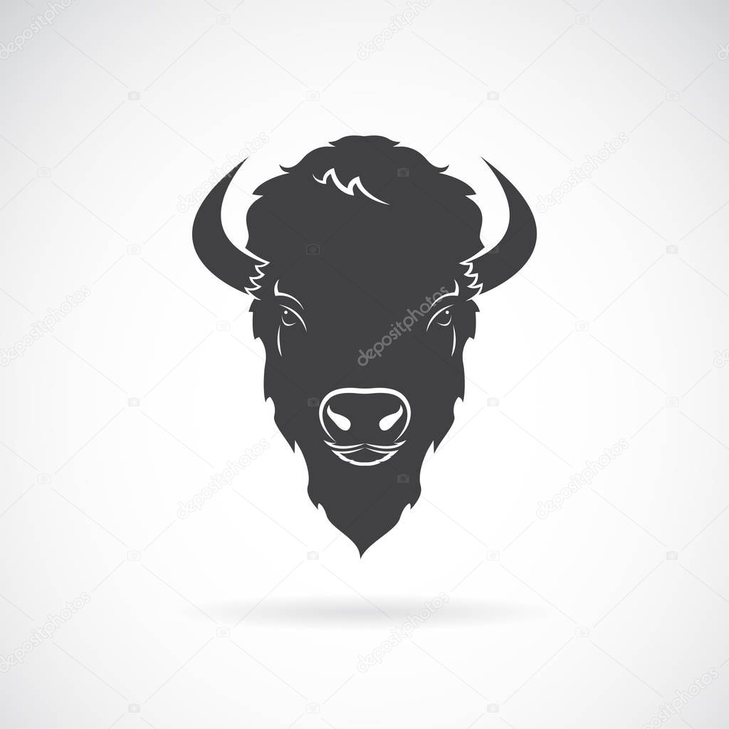 Vector of a buffalo head design on white background. Wild Animal