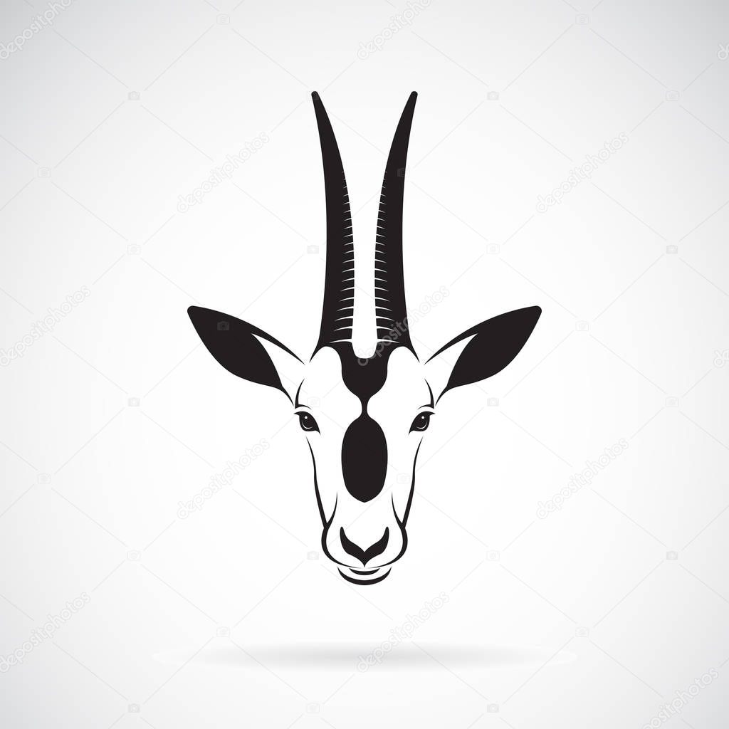 Vector of a Scimitar-horned Oryx head design on white background. Wild Animals. Vector illustration.