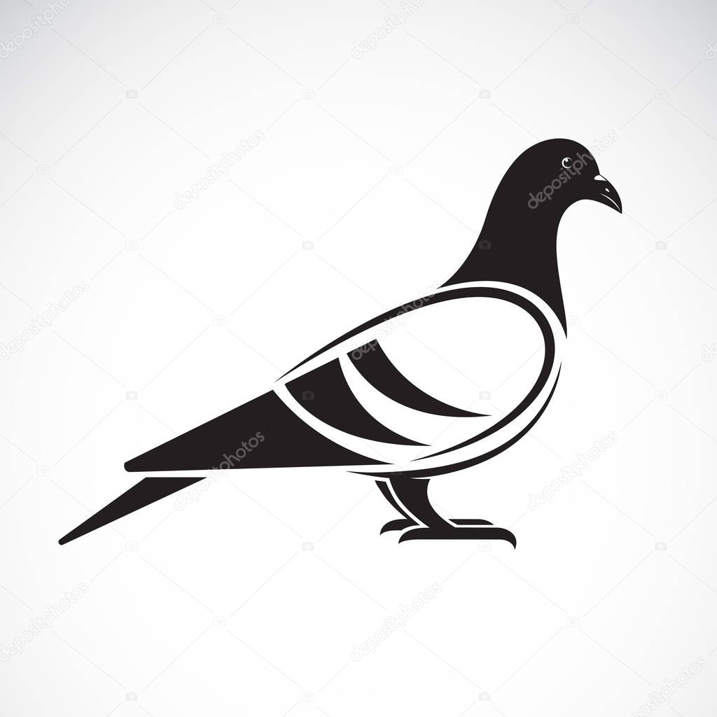 Vector of a pigeon design on white background. Bird. Animals. 