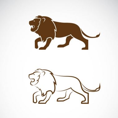 Beyaz arka plan üzerinde bir erkek aslan tasarım vektör. Vahşi hayvanlar. 