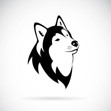 Beyaz zemin üzerinde bir köpek siberian dış yapraklar vektör. Dog Head'a.