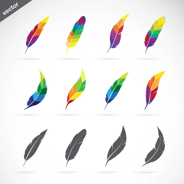 Vector group of feathers icon design on white background. — Stock Vector