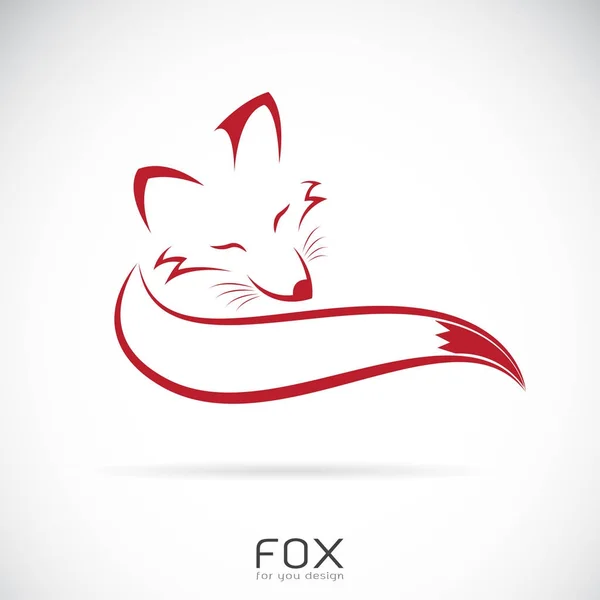Vektor red fox design na bílém pozadí. Divoká zvířata. — Stockový vektor