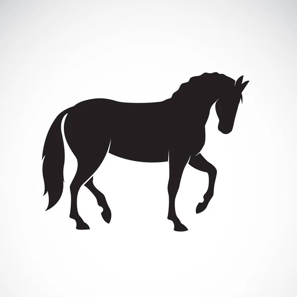 Vetor de um cavalo isolado sobre fundo branco. Animais selvagens . — Vetor de Stock