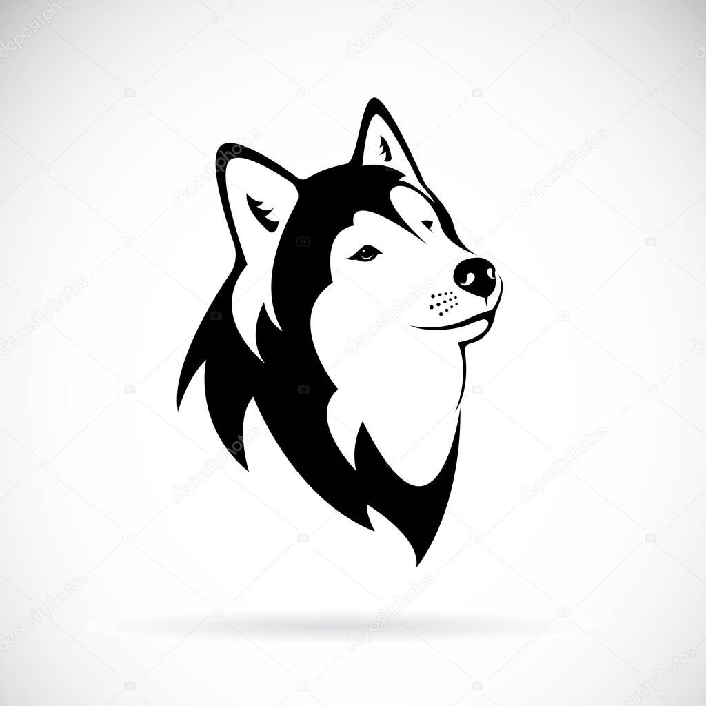 Vector of a dog siberian husky on white background. Dog head.