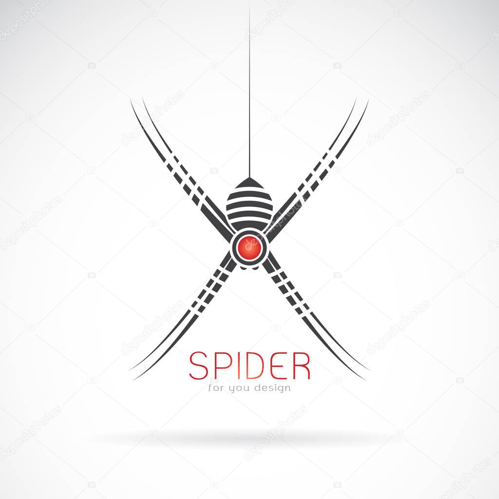 Vector of spider design on white background. Insect. Animal. Easy editable layered vector illustration.