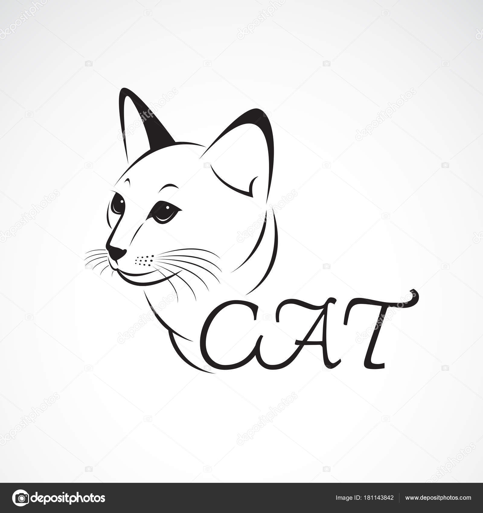 Vector of a cat head on white background. Pet. Animal. Stock Vector Image by ©yod67 181143842