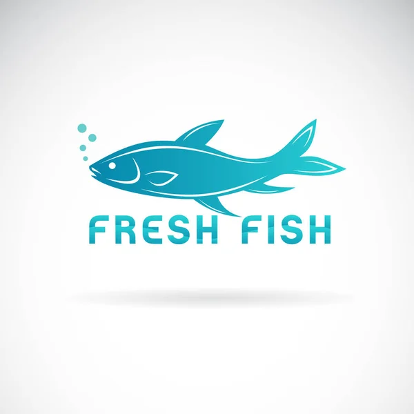 Vettore di un disegno di pesce su uno sfondo bianco. Animali acquatici . — Vettoriale Stock
