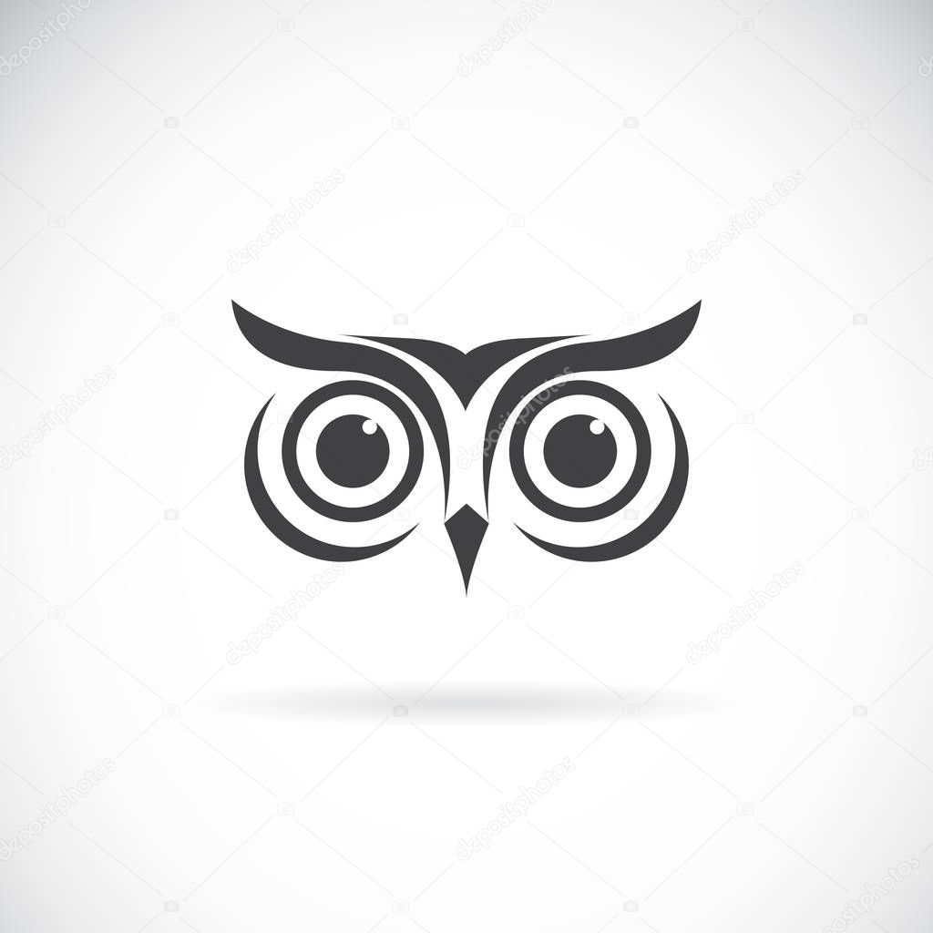 Vector of an owl face design on white background. Bird logo. 
