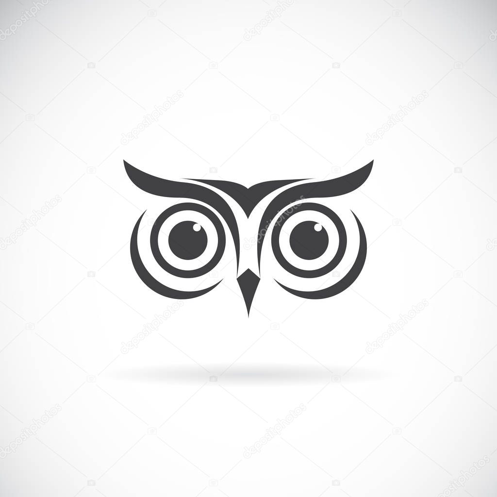 Vector of an owl face design on white background. Bird logo. Wild Animals. Easy editable layered vector illustration.