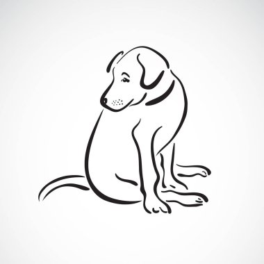 Köpek (Labrador Retriever) beyaz zemin üzerine, P oturan vektör
