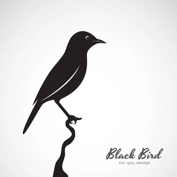 Vecteur d'un oiseau noir sur fond blanc. Un animal. Éditable facilement — Image vectorielle