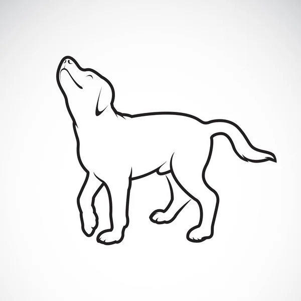 Vektor pes labrador na bílém pozadí. PET. zvířata. Snadné — Stockový vektor