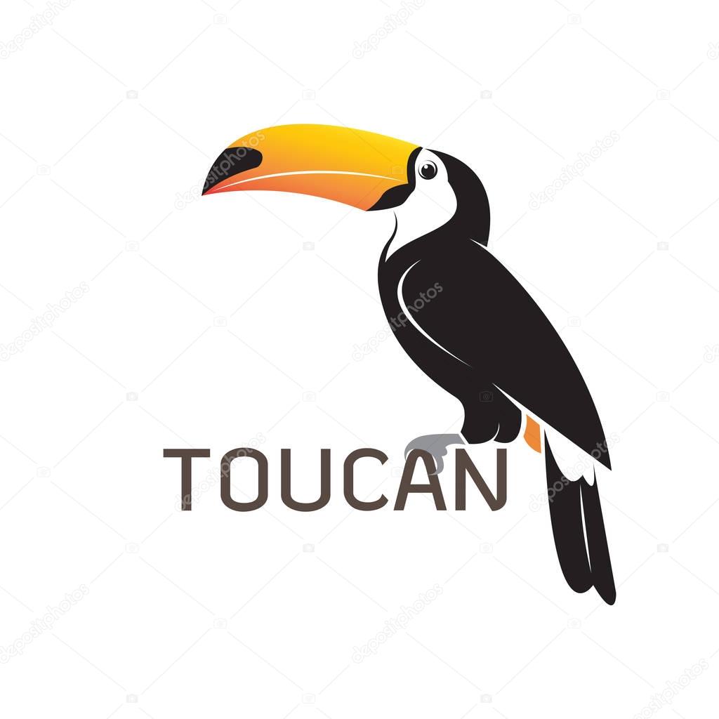 Vector of toucan birb design on white background. Wild Animals. 