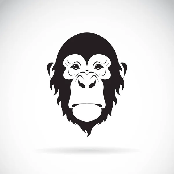 Vettore di un disegno volto scimmia su sfondo bianco. Animali selvatici — Vettoriale Stock