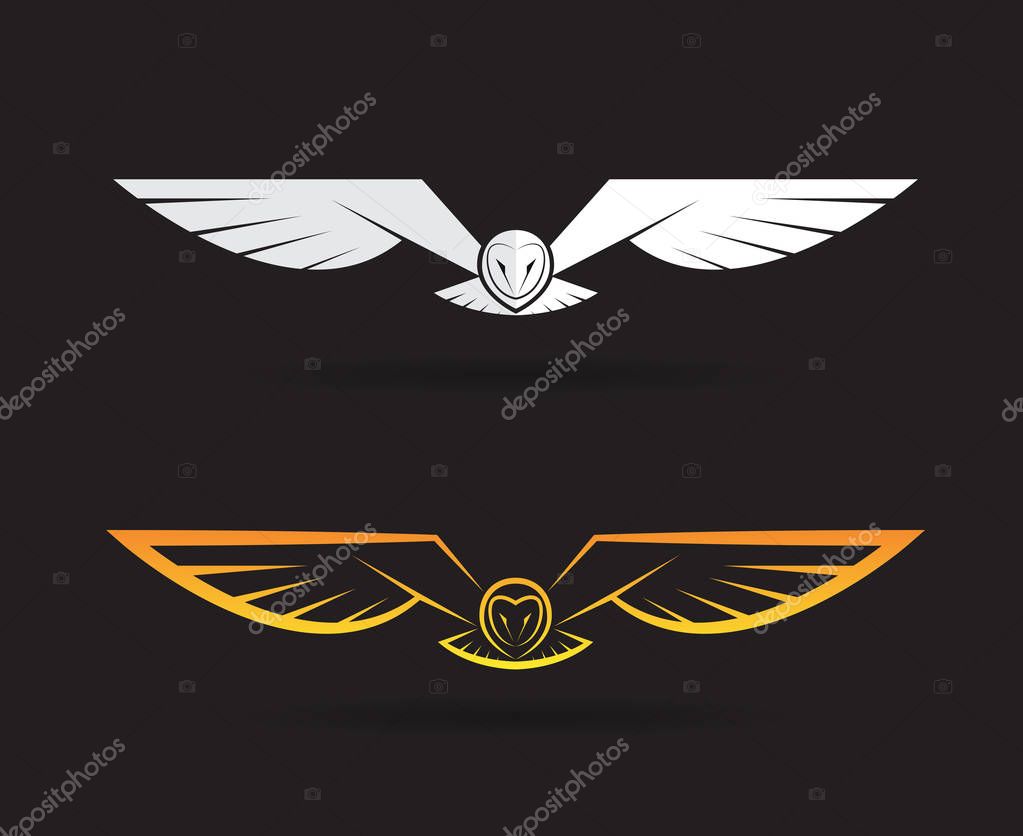 Vector of an owl design on black background. Bird. Animals. Easy editable layered vector illustration.
