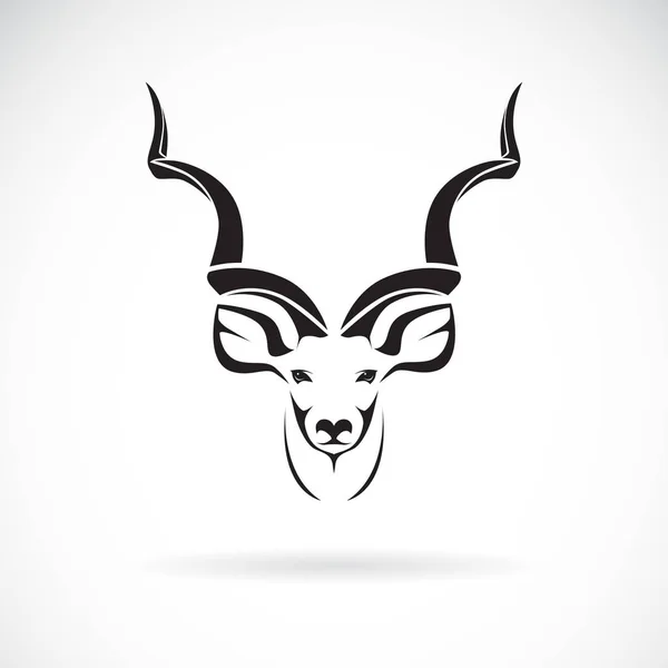 Vector de mayor diseño de cabeza kudu sobre fondo blanco, Animal . — Vector de stock