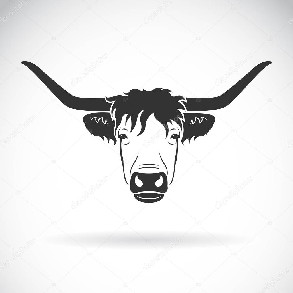 Free Free Highland Cattle Svg 575 SVG PNG EPS DXF File