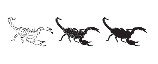Vector de escorpiones aislados sobre fondo blanco. Insecto. Animales. — Archivo Imágenes Vectoriales