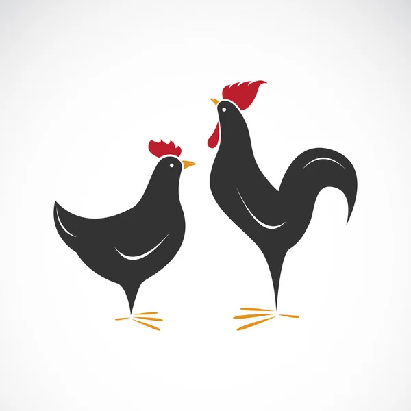 Vector of male and female chickens design on white background. — Stock Vector