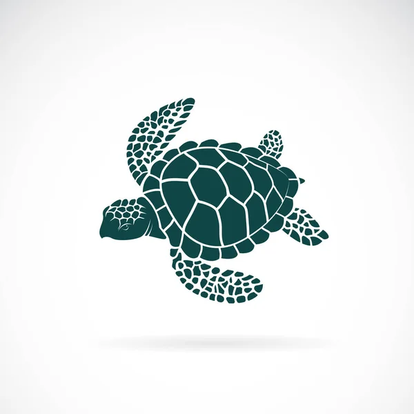 Vektor im Schildkrötendesign auf weißem Hintergrund. Wildtiere. und — Stockvektor