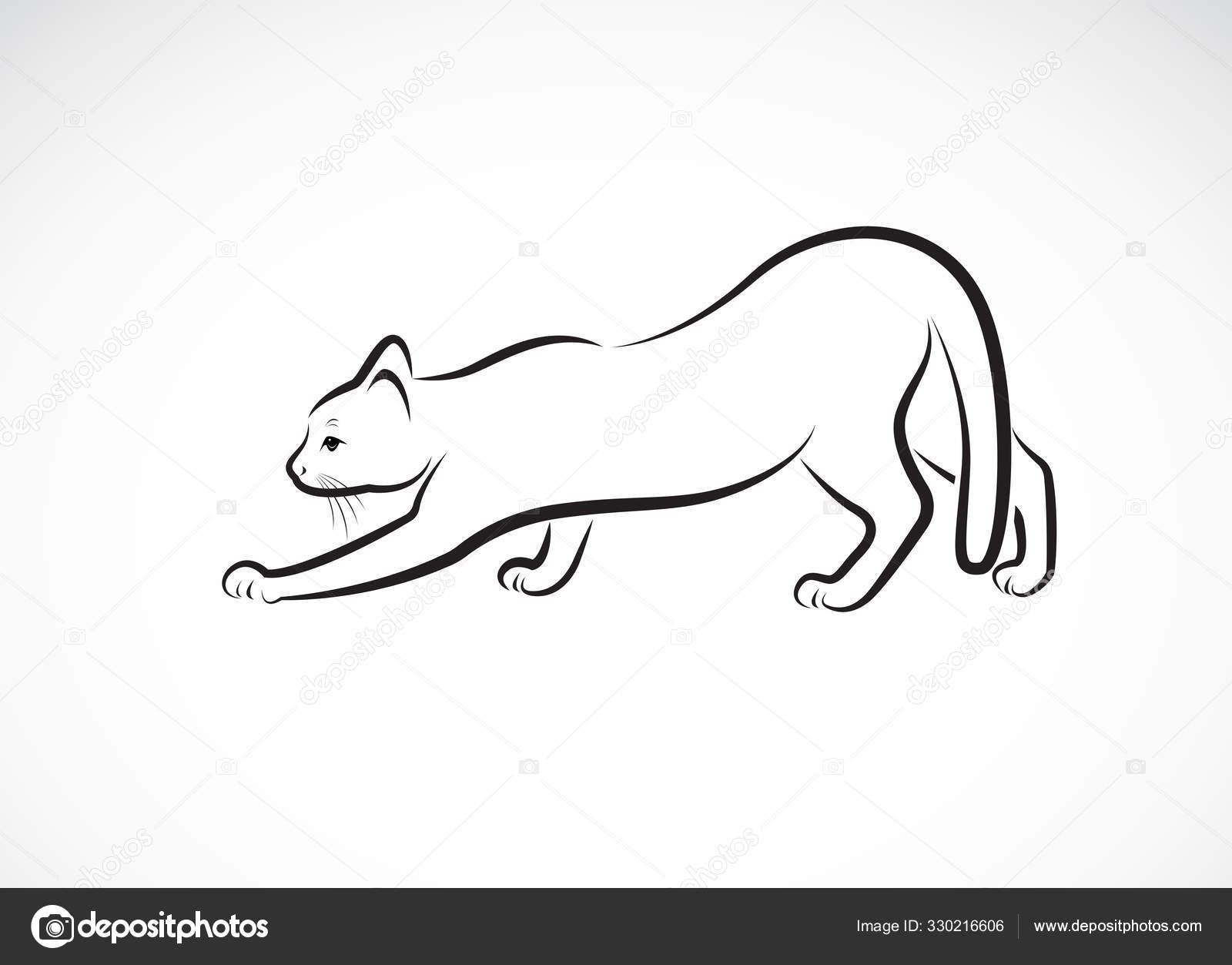 Vecteur D Un Dessin De Chat Sur Fond Blanc Pet Des Animaux Chats Image Vectorielle Par Yod67 C Illustration