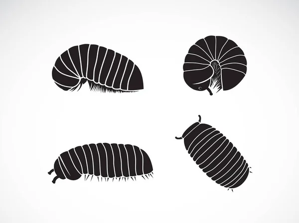 Vector del grupo de gusano milipedo píldora (Oniscomorpha) aislado en — Archivo Imágenes Vectoriales