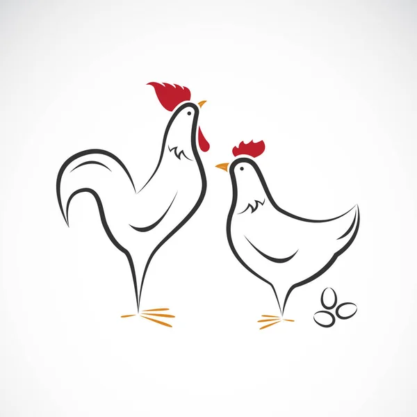 Vector of male and female chickens design on white background. — Stock Vector